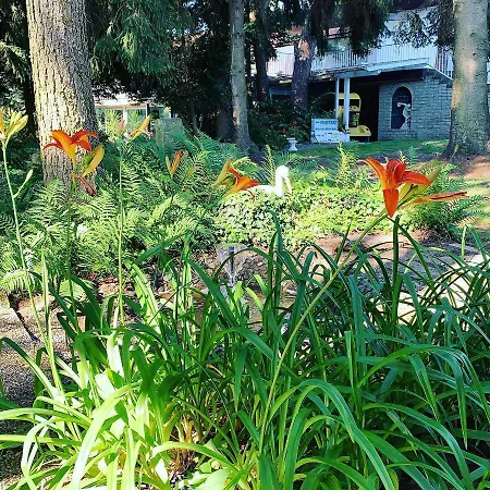 招待所 Parkhotel 1970 3*