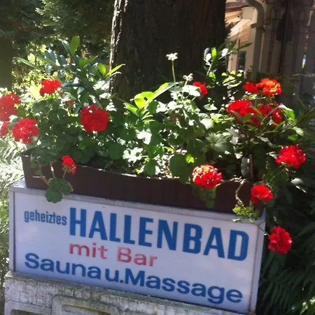 Parkhotel 1970 招待所 Vielbrunn