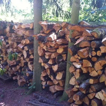 Parkhotel 1970 Affittacamere