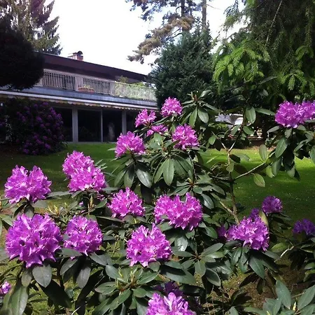 Affittacamere Parkhotel 1970 3*